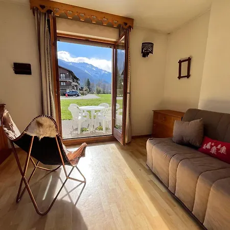 Avec Vue Montagnes Et Piscines, Animaux Acceptes - Fr-1-624-108 Apartment Samoëns